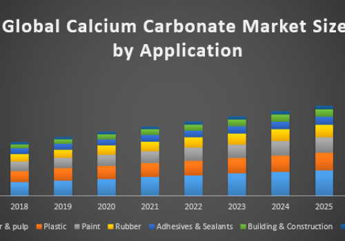 2019 年全球碳酸钙市场规模、趋势、行业份额、增长动力、商机和到 2024 年的需求预测