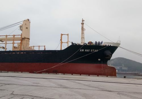 散货船将货物运送到 NGHI SON 港口