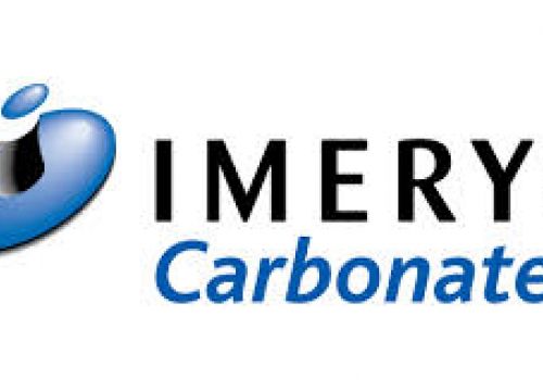 Imerys 收购了 Vimal Microns 和 Vee Microns 的合并碳酸钙业务。新实体以 Imerys Carbonates India Limited 的名义运营
